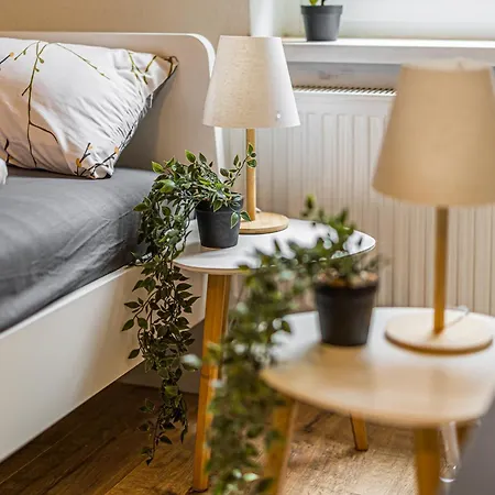 Apartment 1g Lv 6-zimmer-apartment Hbf Halle