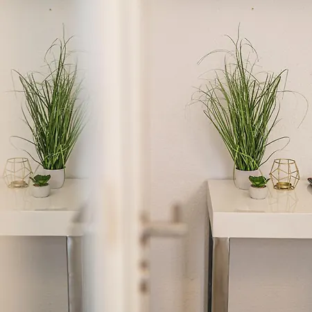 1g Lv 6-zimmer-apartment Hbf Halle *