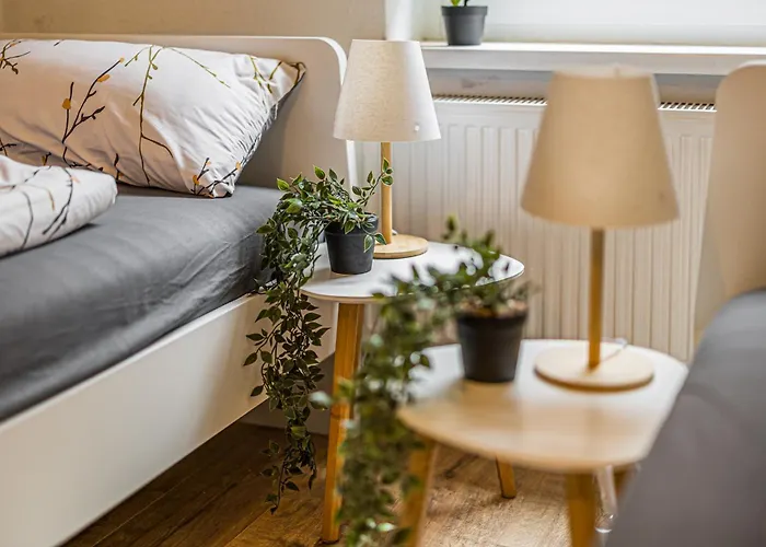 Appartement 1g Lv 6-zimmer-apartment Hbf Halle