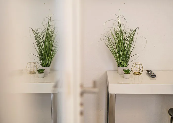 1g Lv 6-zimmer-apartment Hbf Halle *