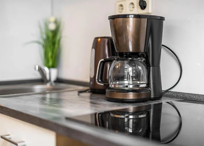 Appartement 1g Lv 6-zimmer-apartment Hbf Halle *