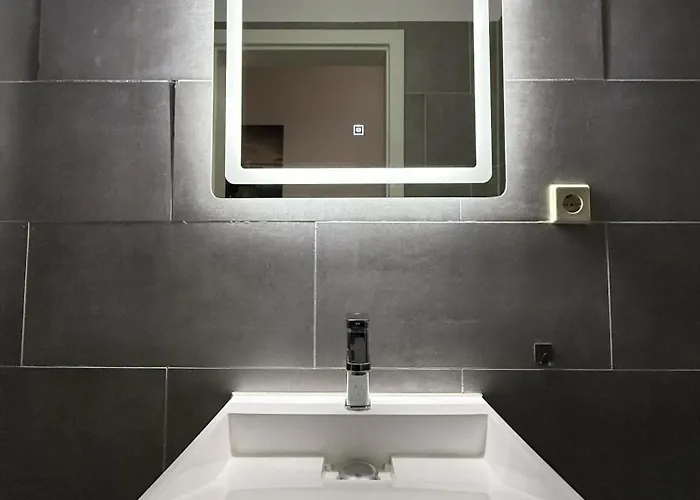 1g Lv 6-zimmer-apartment Hbf Halle *